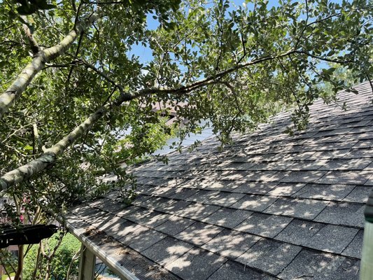 Sauls Quality Service