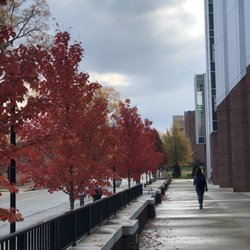 University of Tennessee at Chattanooga - The walk to classes in the fall
