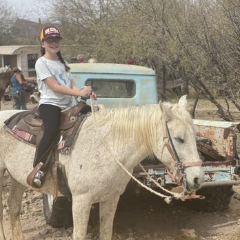 Bettys Trail Rides - Horseback Riding Near Me