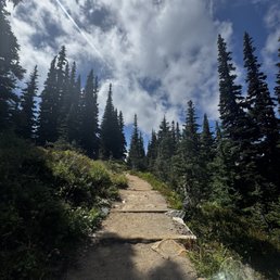 Magical Mount Rainier