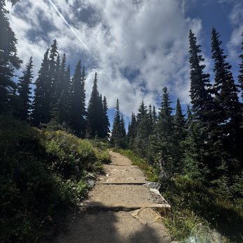 Evergreen Escapes - Magical Mount Rainier - Tours Near Me - Seattle, Washington