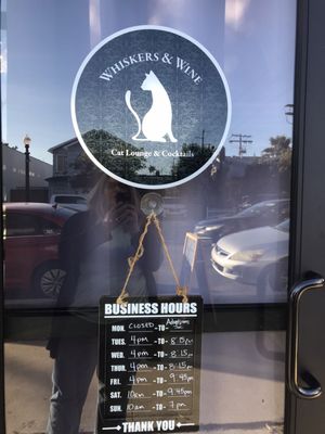 Whiskers & Wine Cat Cafe by null