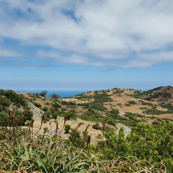 Airport In The Sky Restaurant - Views from patio - Breakfast & Brunch Near Me - Avalon, California