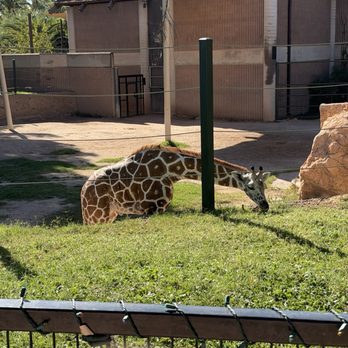 Reid Park Zoo - Zoos Near Me - Tucson, Arizona Reid Park Zoo - Zoos Near Me - Tucson, Arizona