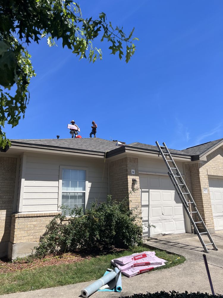 Slide of Momma Bear Roofer