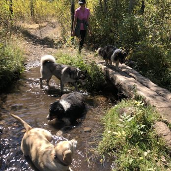 Four Paws Grooming - Pet Groomers Near Me - Ketchum, Idaho Four Paws Grooming - Pet Groomers Near Me - Ketchum, Idaho