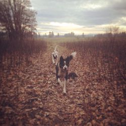 Scatter Creek Wildlife Recreation Area