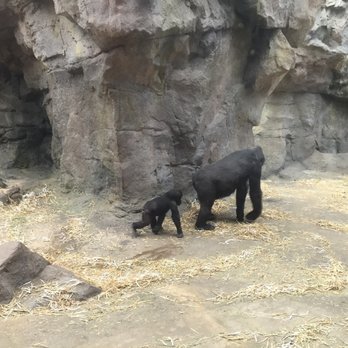 Franklin Park Zoo - Zoos Near Me - Boston, Massachusetts Franklin Park Zoo - Zoos Near Me - Boston, Massachusetts