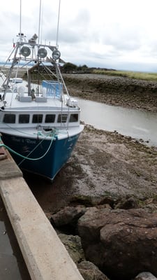 Fundy National Park Of Canada by null