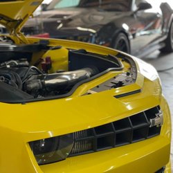 BL Performance