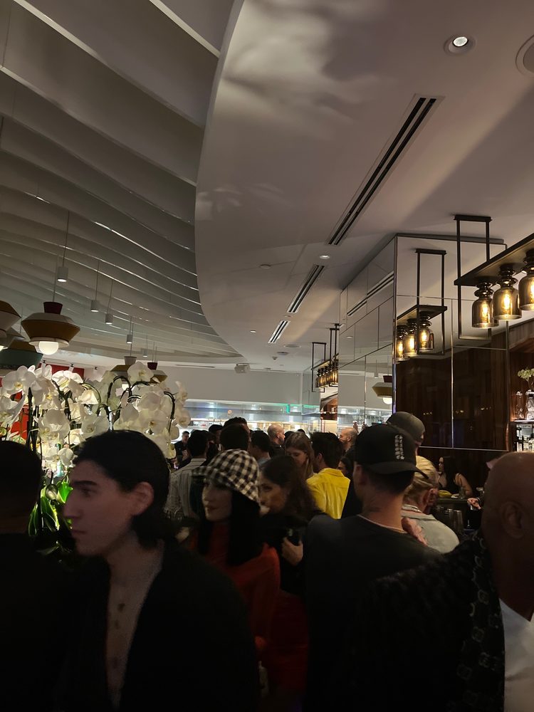 Novikov Miami