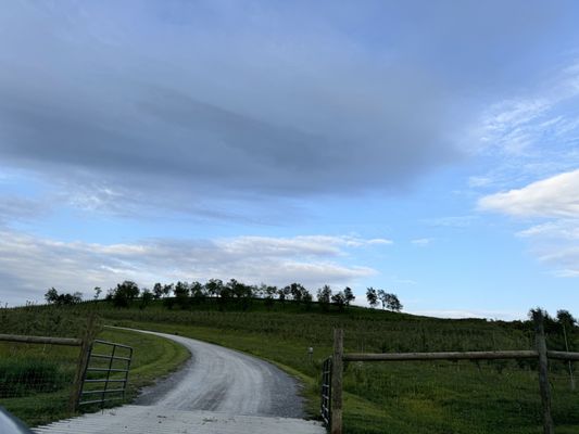 Klocke Estate by null