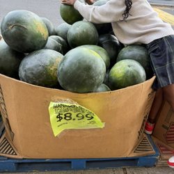 Superfresh Irvington - Watermelon. GMO ones