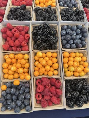 NoHo Farmers Market by null