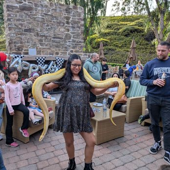 Kids Reptile Parties - Party & Event Planning Near Me Kids Reptile Parties - Party & Event Planning Near Me