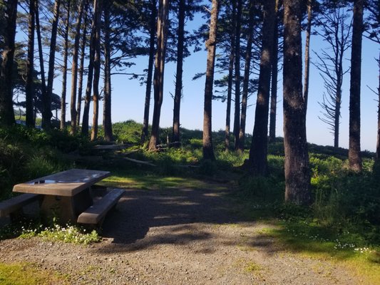 Kalaloch Campground by null