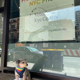 Luk outside the vec office Luk outside the vec office