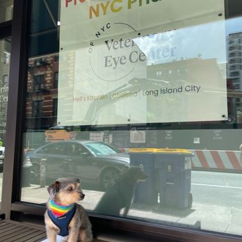 Veterinary Eye Center - Hell's Kitchen - Luk outside the vec office - Veterinarians Near Me - New York, New York Veterinary Eye Center - Hell's Kitchen - Luk outside the vec office - Veterinarians Near Me - New York, New York