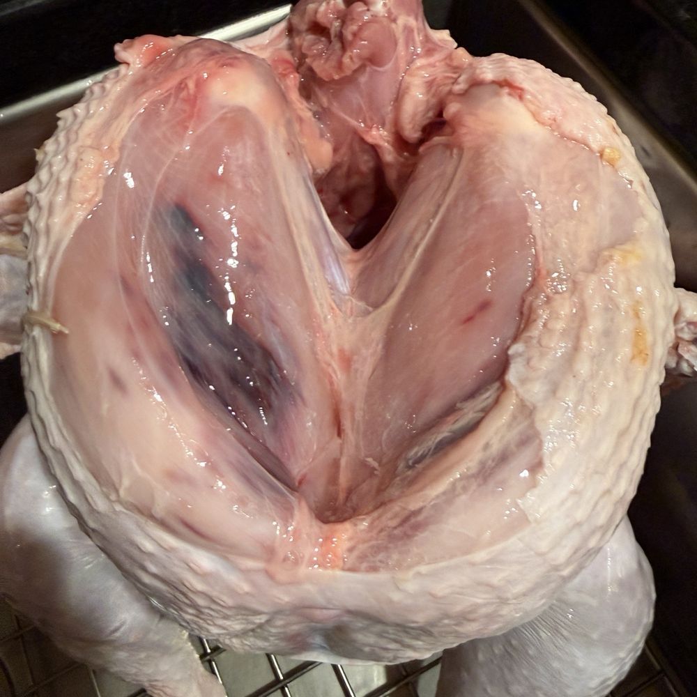 Western Live Poultry - Meat Shops Near Me - Chicago, Illinois Western Live Poultry - Meat Shops Near Me - Chicago, Illinois