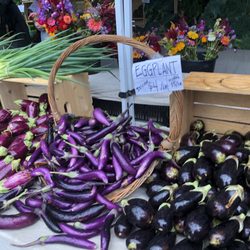 Hastings Farmer's Market