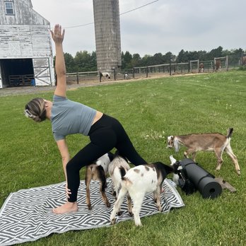 Kamins Farm Sanctuary - Animal Shelters Near Me