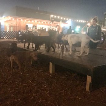 Yard Bar - Bars Near Me - Austin, Texas Yard Bar - Bars Near Me - Austin, Texas