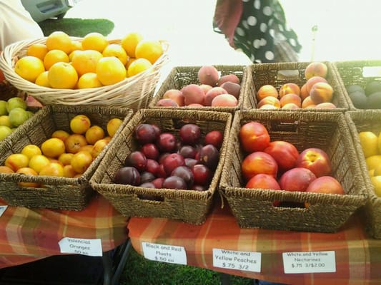 Las Vegas Farmers Market LLC at Floyd Lamb Park by null
