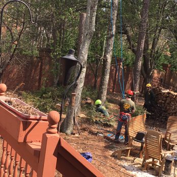 SavATree Norcross - Tree Services Near Me - Norcross, Georgia SavATree Norcross - Tree Services Near Me - Norcross, Georgia