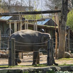Zoo Karlsruhe