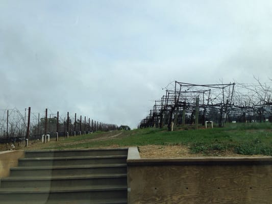 Dehlinger Winery by null