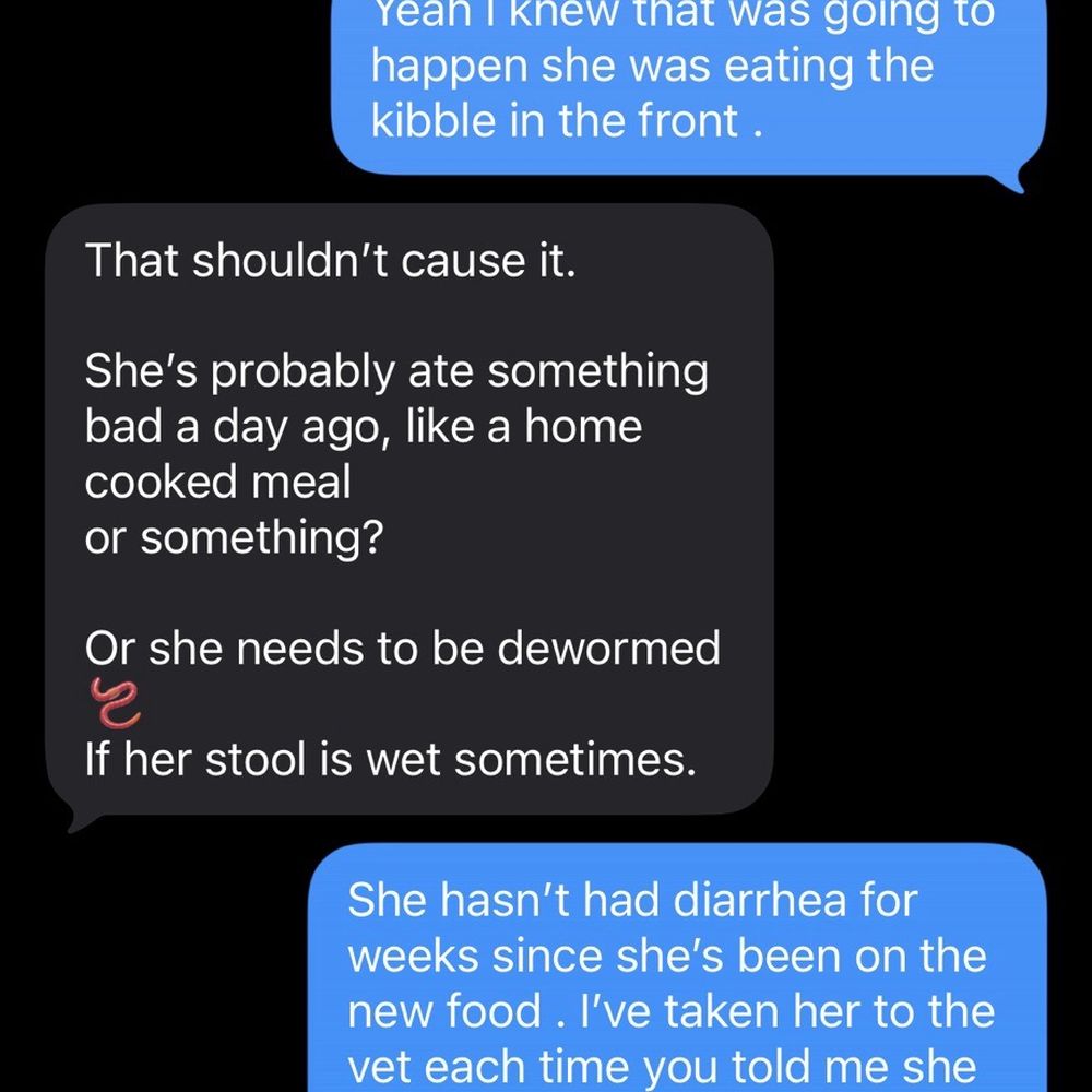 South Bay K9 - Pet Breeders Near Me South Bay K9 - Pet Breeders Near Me
