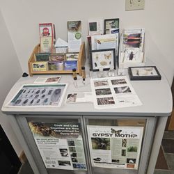 Gunflint Ranger Station Forest Service - Information about invasive species