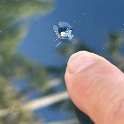 U-Save Car & Truck Rental - Chip in windshield, below driver's line of sight.