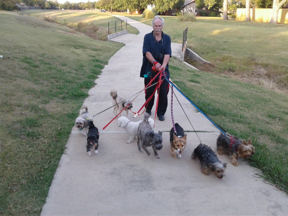 LARRY’S DOG BOARDING & DOG DAY CARE Updated September 2024 Request