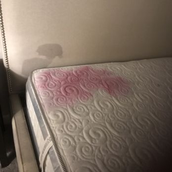 PURE Carpet Care - Whoops dropped my wine - Carpet Cleaning Near Me PURE Carpet Care - Whoops dropped my wine - Carpet Cleaning Near Me