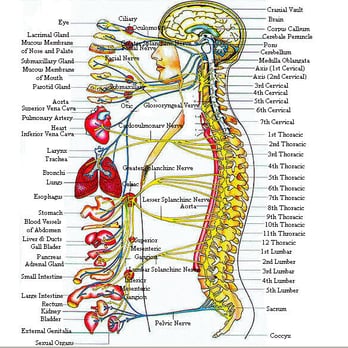 Craig Ranch Chiropractic - Chiropractors Near Me - McKinney, Texas
