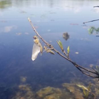 Mud Lake Conservation Area - Hiking Near Me - Ottawa, Ontario