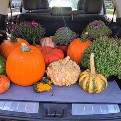 Grier Nursery Farm