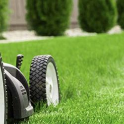 Signature Lawn Pros
