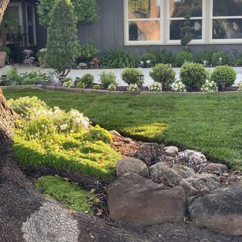 Delta Charlie Sod - My flower bed around a tree.... Gorgeous! - Landscaping Near Me