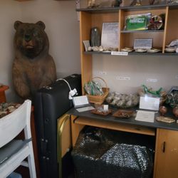The Rock Shop - Display