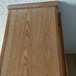 Laurel Palms Apartments - They tried to cover up the mold and marks from the ceiling looking and look how they repainted it !! They got it all over the cabnit !