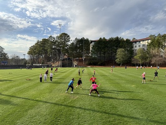 Emory University by null