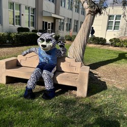 Thomas Jefferson Middle School - JJ the Jaguar is excited to see you on campus!