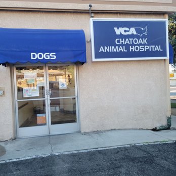 VCA CHATOAK ANIMAL HOSPITAL Updated May 2025 104 Photos 393 Reviews 17659 Chatsworth St Granada Hills California Veterinarians Phone Number Yelp
