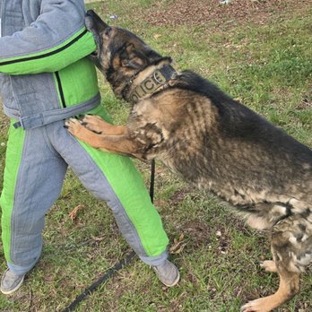 LC K9 - Pet Training Near Me - Monroe, North Carolina LC K9 - Pet Training Near Me - Monroe, North Carolina