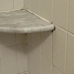 Mold Mold