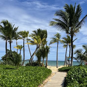 Excellence Punta Cana - Resorts Near Me - Punta Cana, Georgia