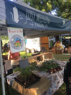 East Nashville Farmers Market by null