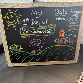 Zoom Room - Pet Training Near Me - Scottsdale, Arizona